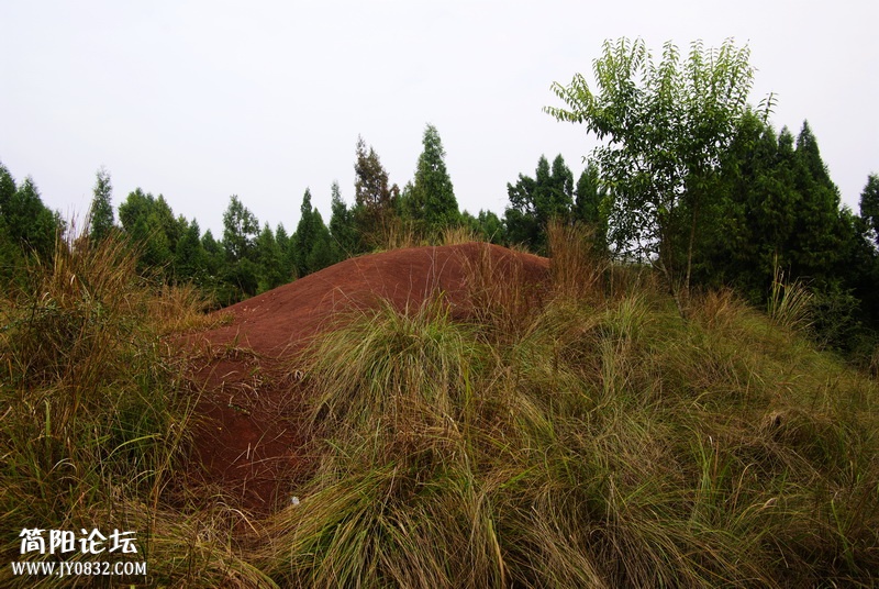 _IGP5998_调整大小.JPG
