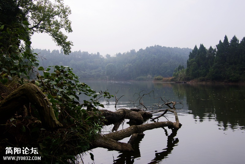 五凤山的风景图片