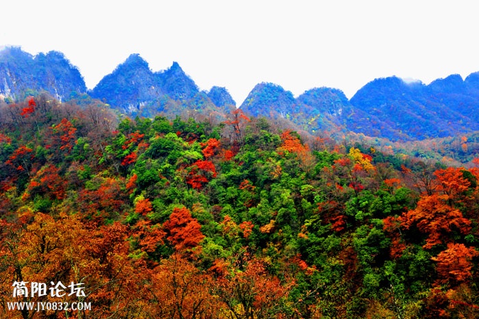 光雾山01.jpg