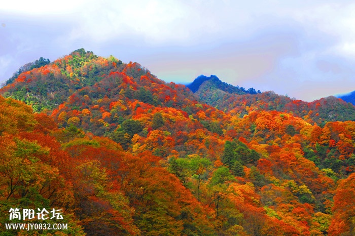 光雾山11.jpg