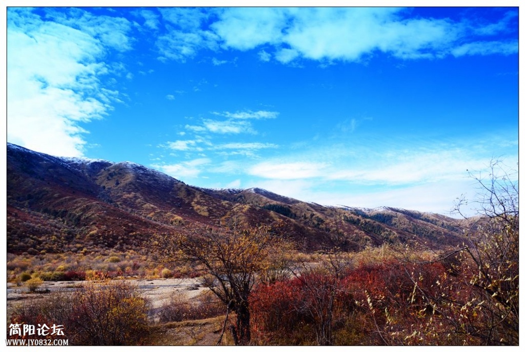 高原风光 (1).jpg
