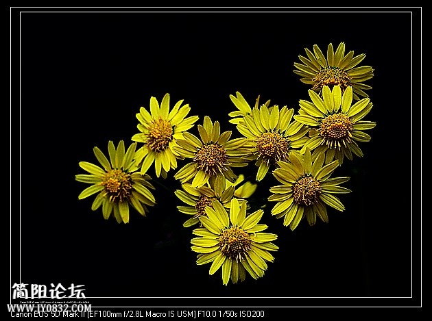 nEO_IMG_IMG_4325a.jpg