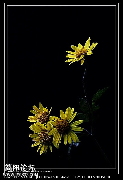 nEO_IMG_IMG_4305a.jpg