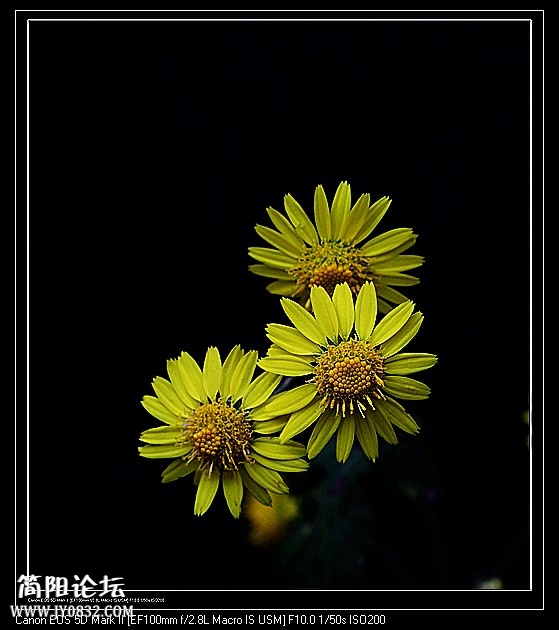 nEO_IMG_IMG_4321a.jpg