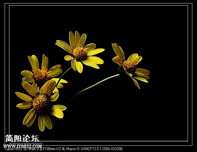 nEO_IMG_IMG_4087a.jpg
