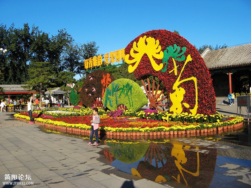 IMG_8463.jpg