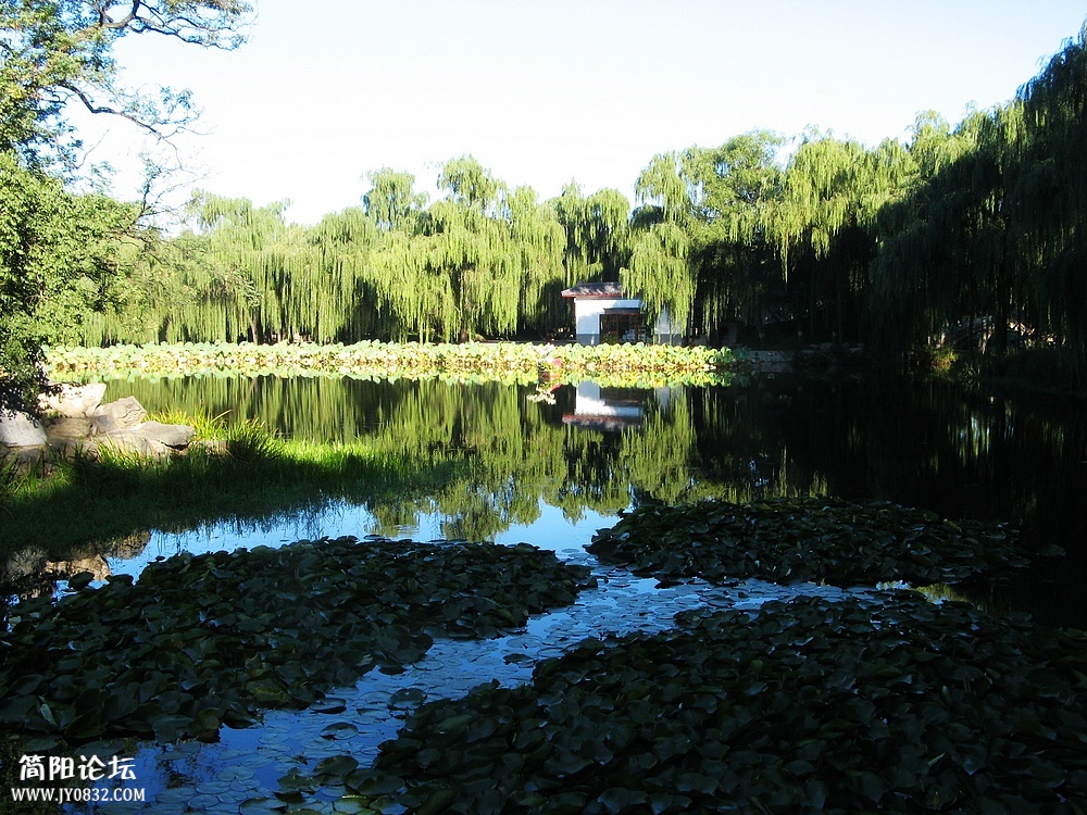 IMG_8483.jpg