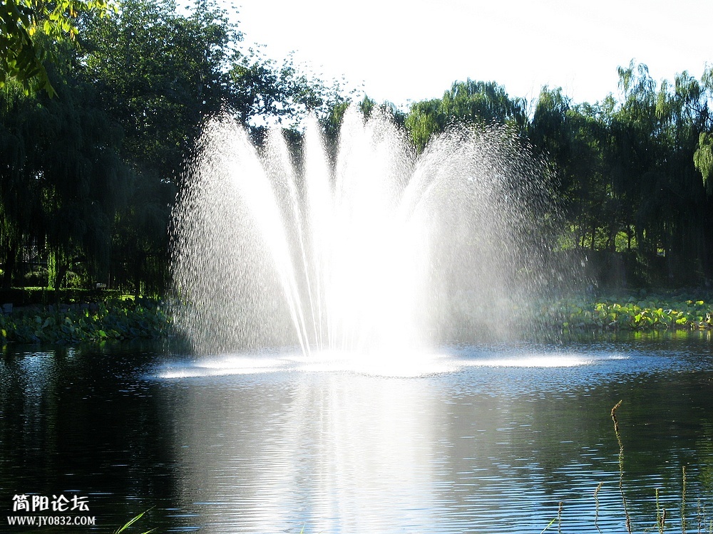 IMG_8485.jpg