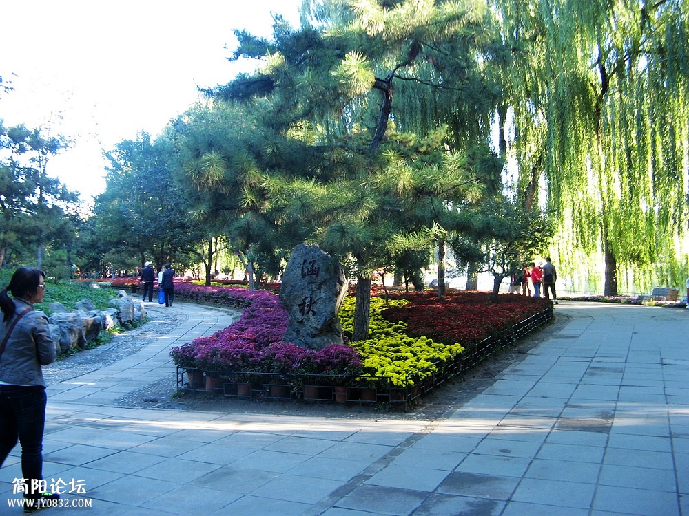 IMG_8496.jpg