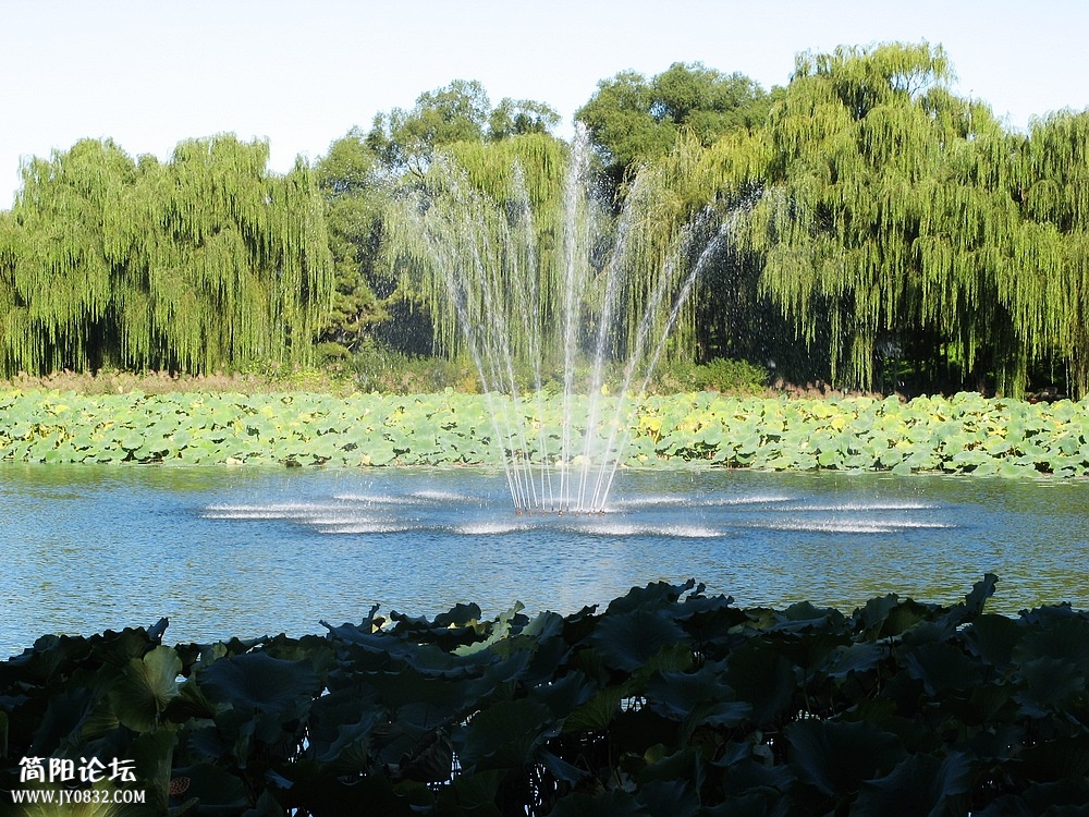 IMG_8532.jpg
