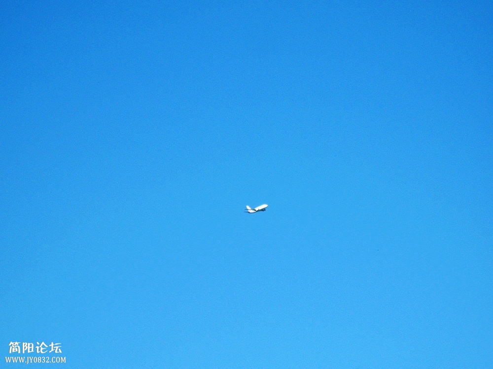IMG_8537.jpg