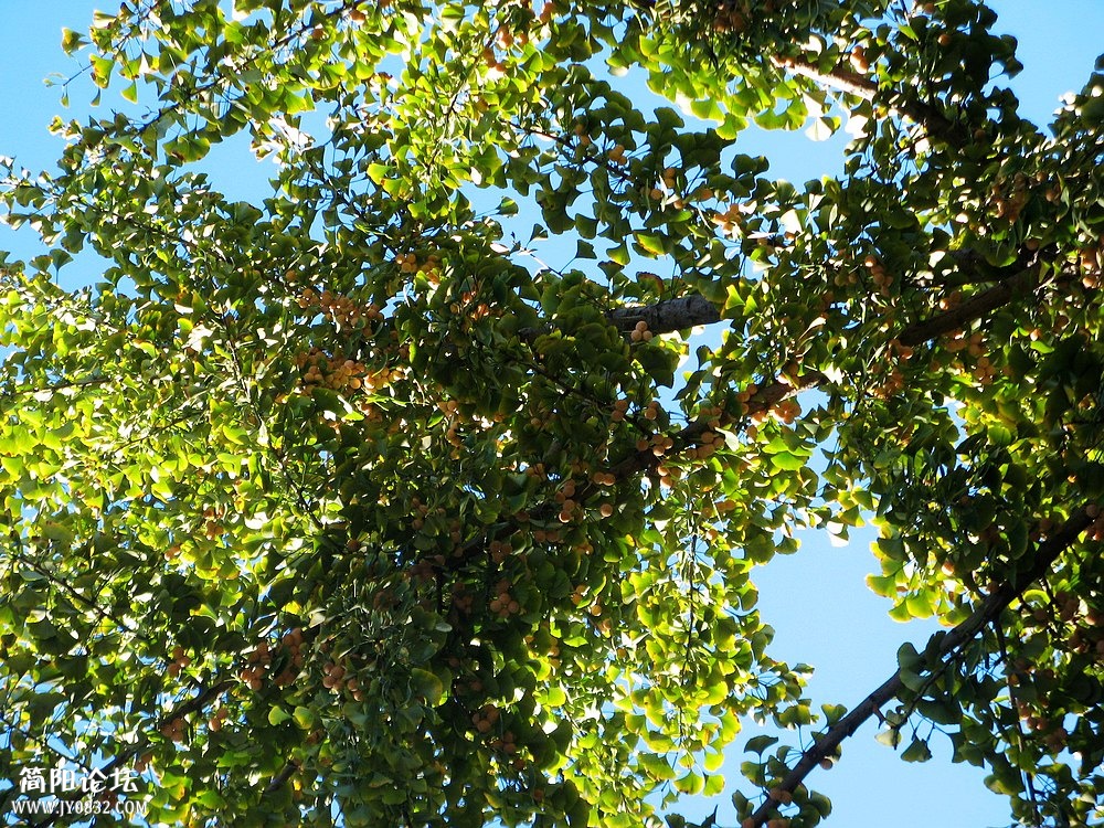 IMG_8557.jpg