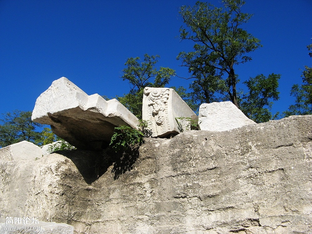 IMG_8590.jpg