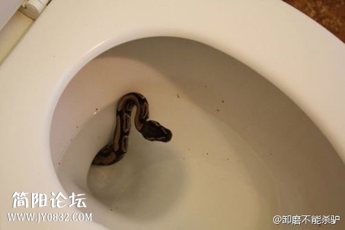 菊花一紧！.jpg