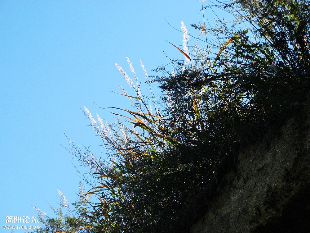 IMG_8639.jpg