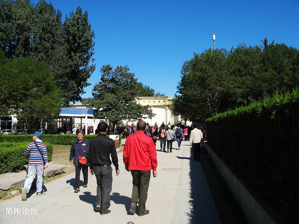 IMG_8642.jpg