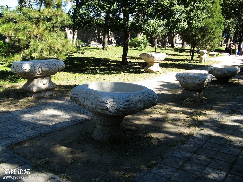IMG_8696.jpg