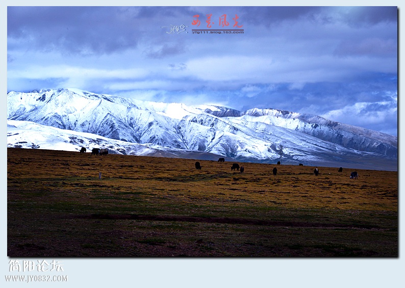 雪山千年，记载着大地的亘古。.JPG