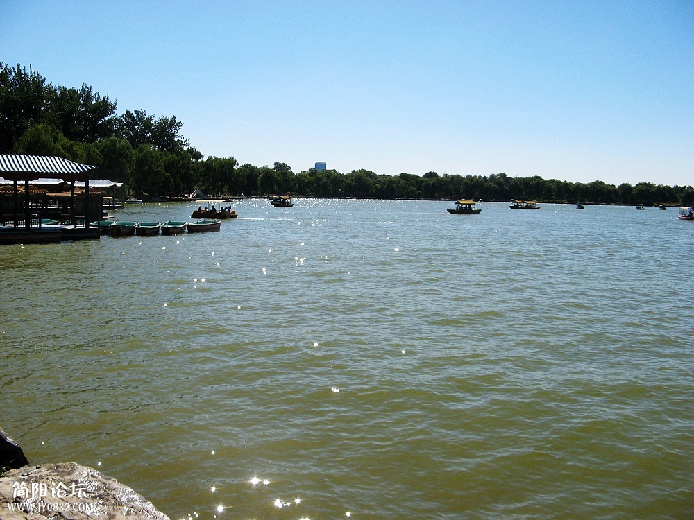 IMG_8709.jpg