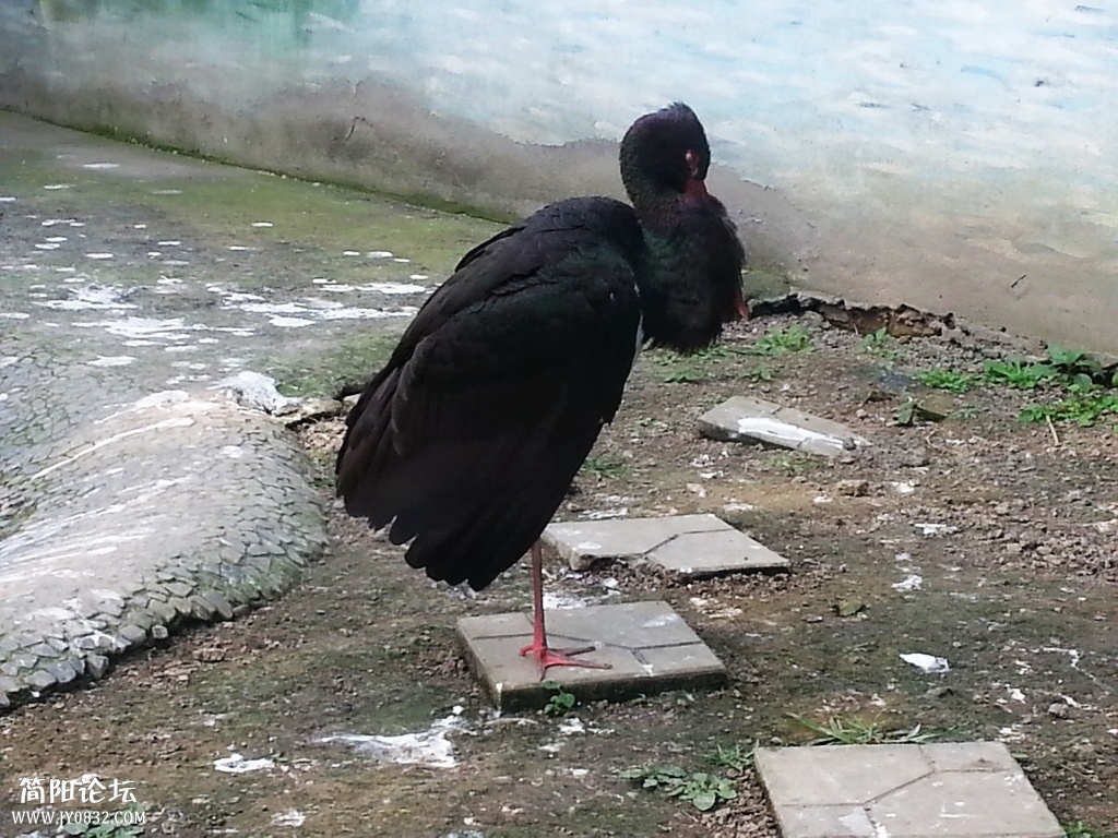 20131116_141245.jpg