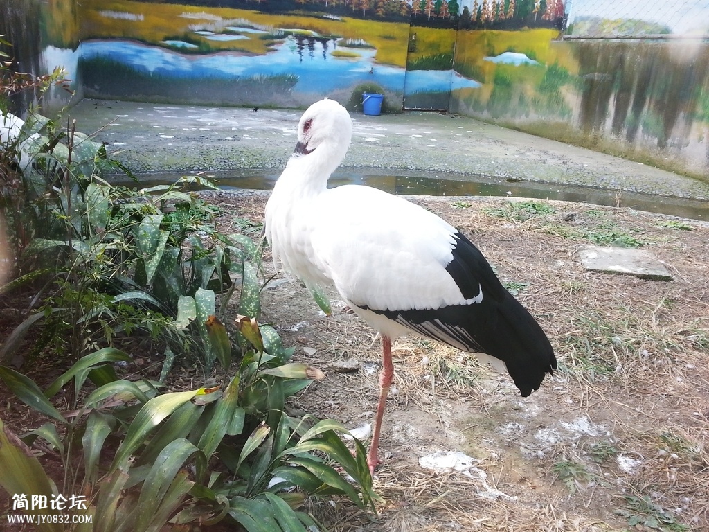 20131116_141308.jpg