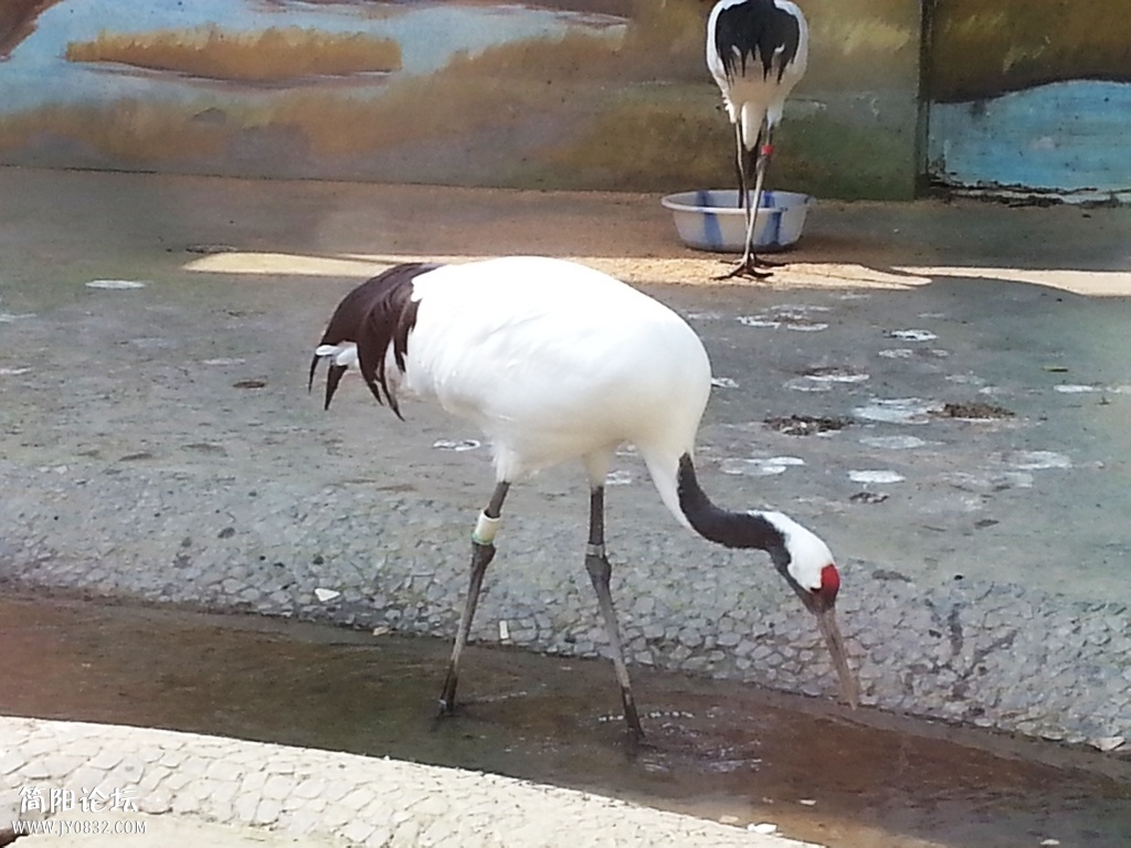 20131116_141406.jpg