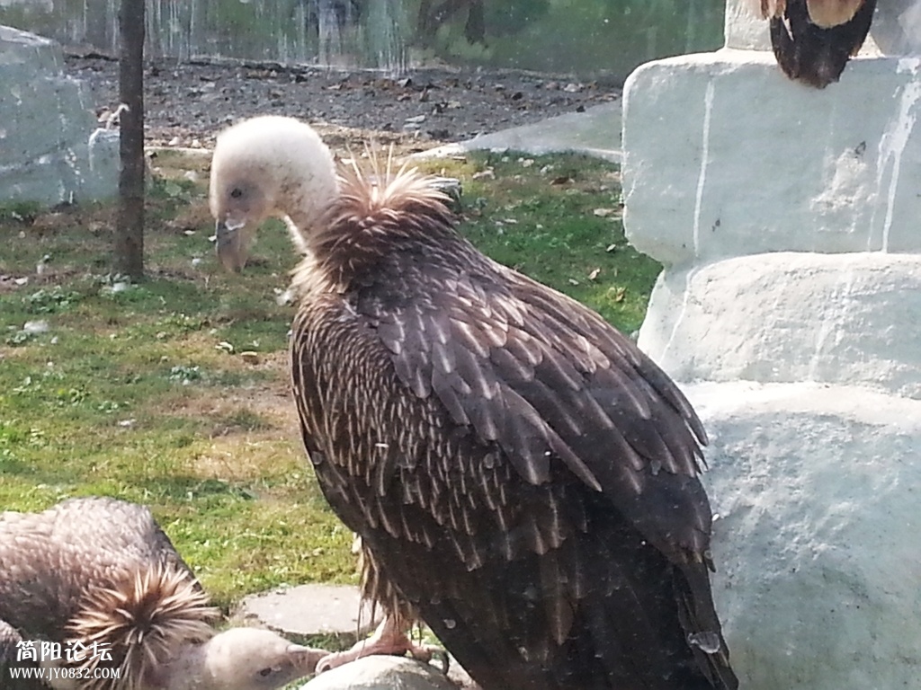 20131116_142000.jpg