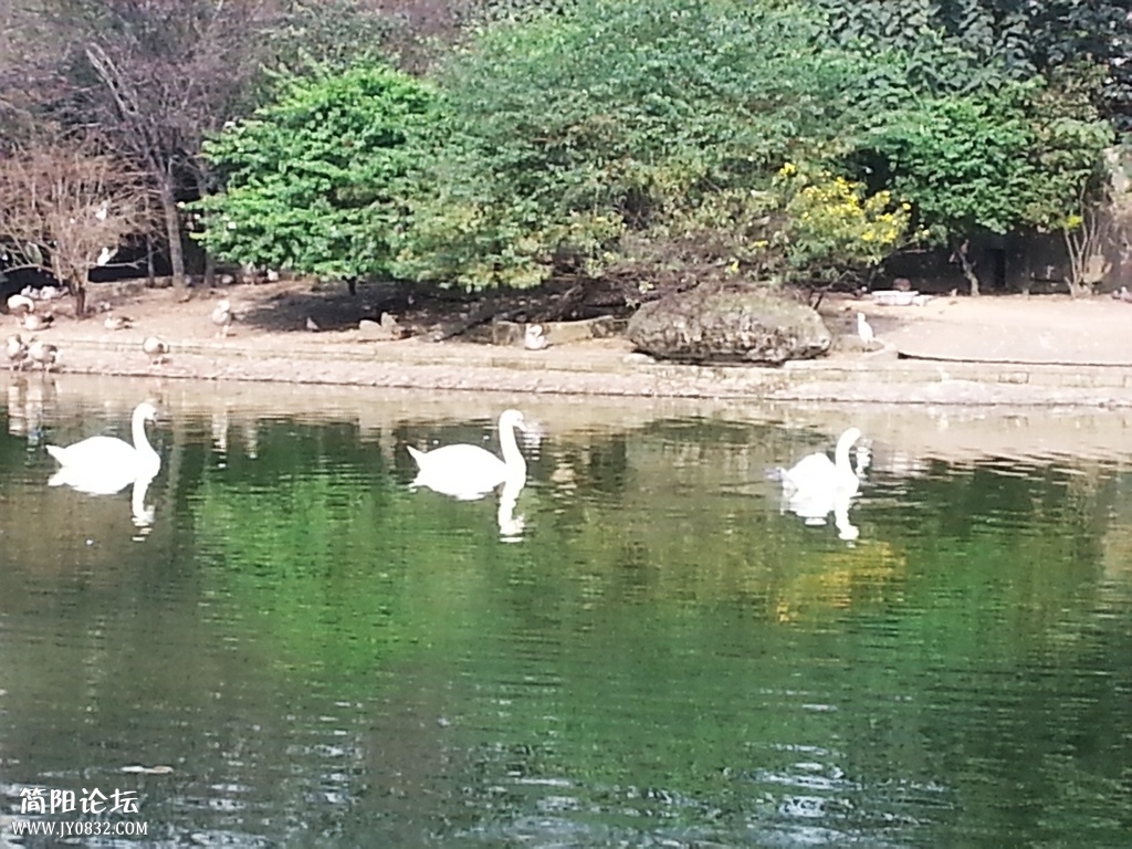 20131116_142254.jpg