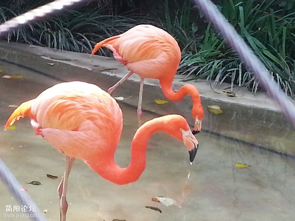 20131116_141820.jpg