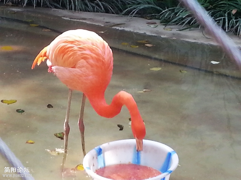 20131116_141755.jpg