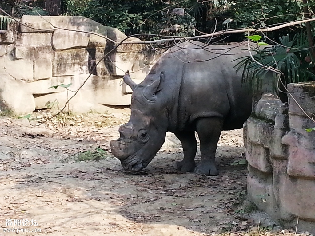 20131116_110810.jpg