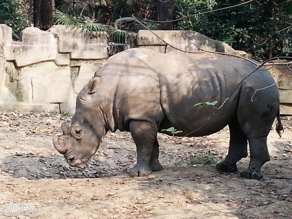 20131116_110828.jpg