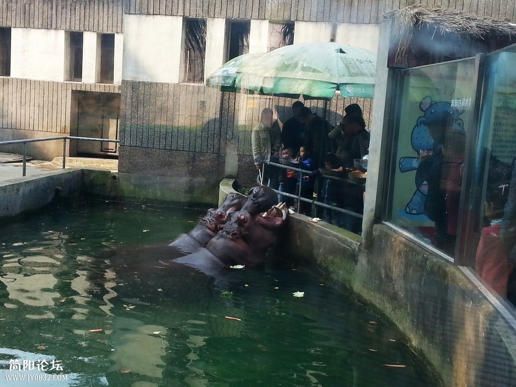 20131116_111402-1.jpg