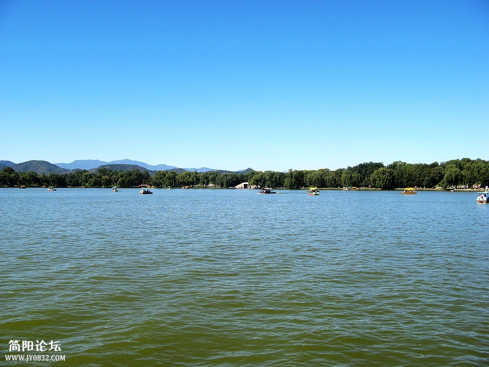 IMG_8725.jpg