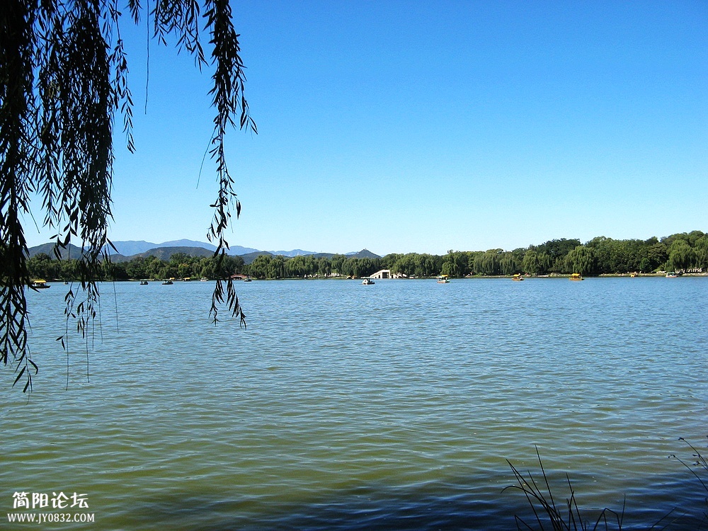 IMG_8726.jpg