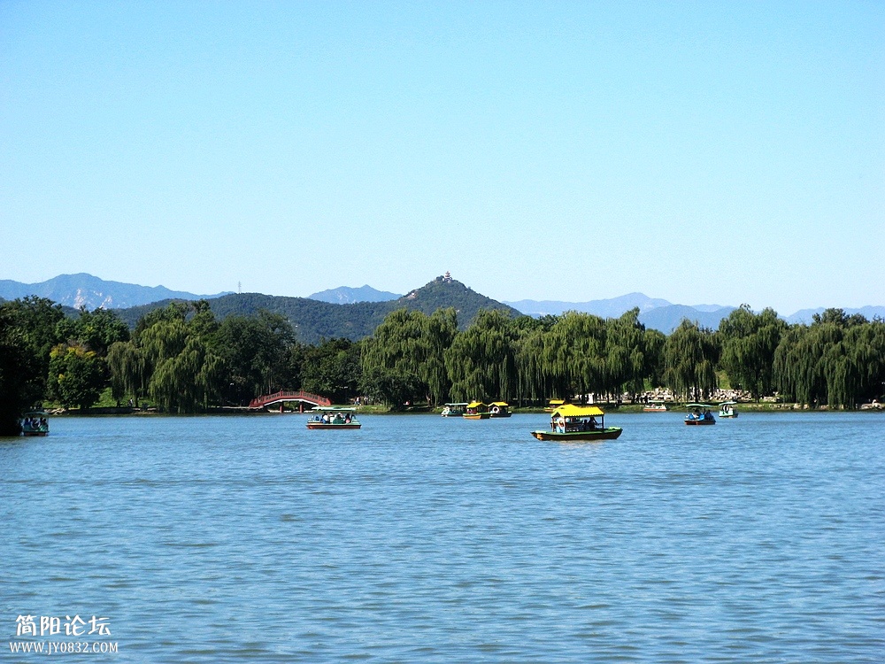 IMG_8729.jpg