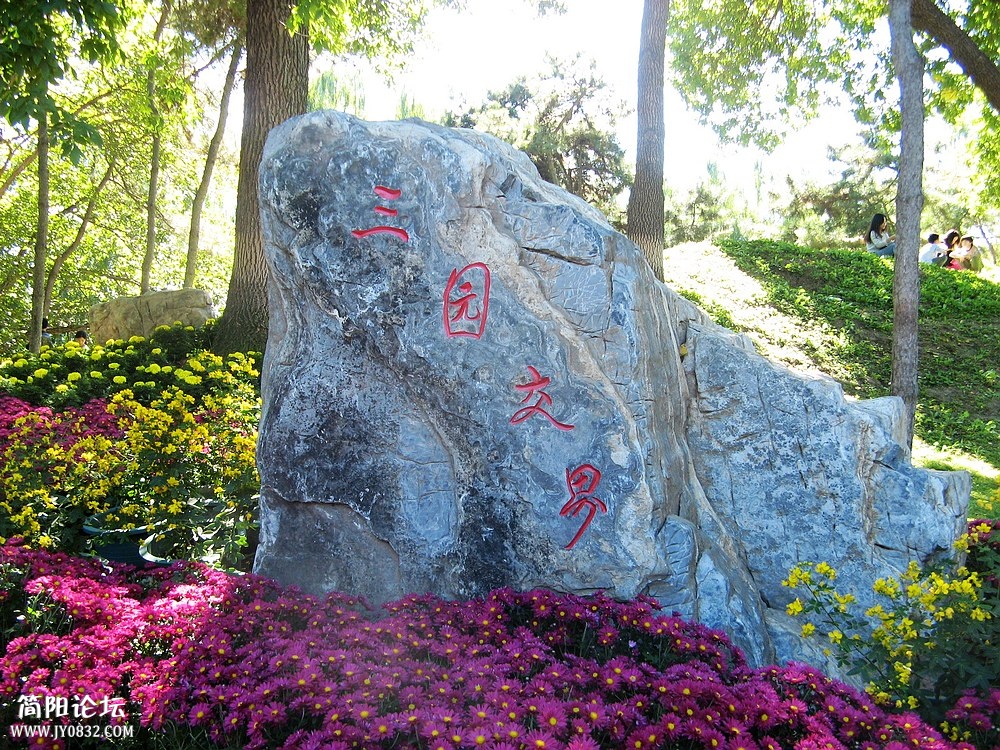 IMG_8740.jpg