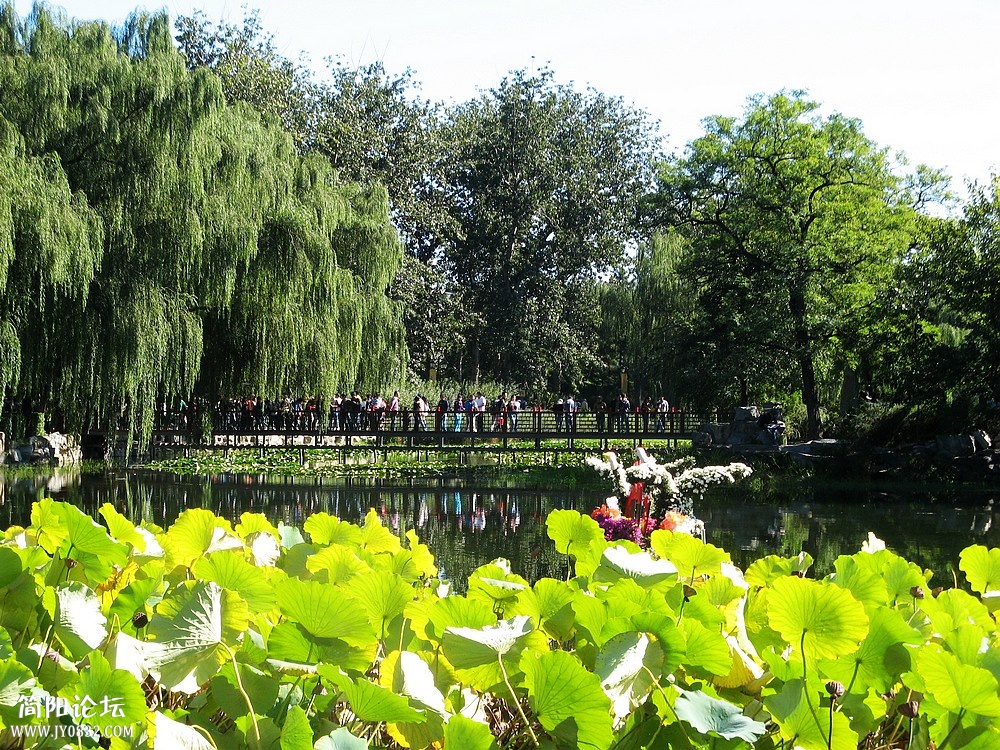 IMG_8755.jpg