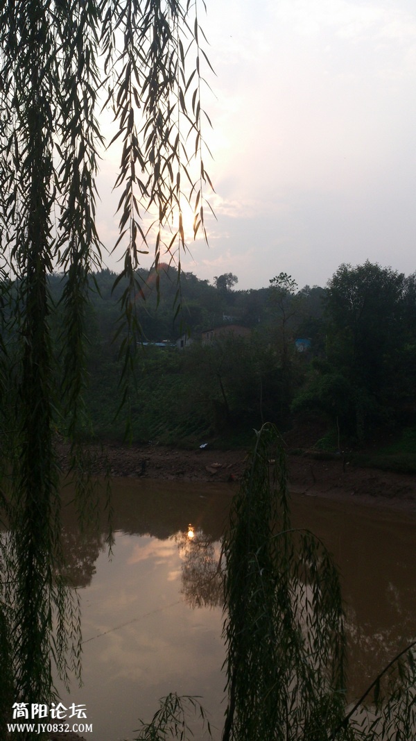DSC_0038.jpg