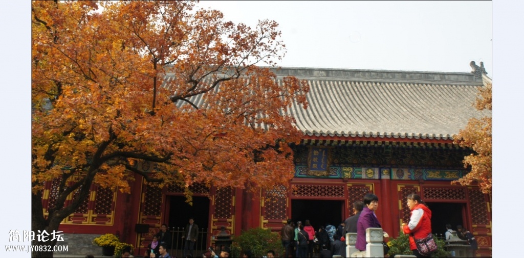 香山红叶 (1).jpg