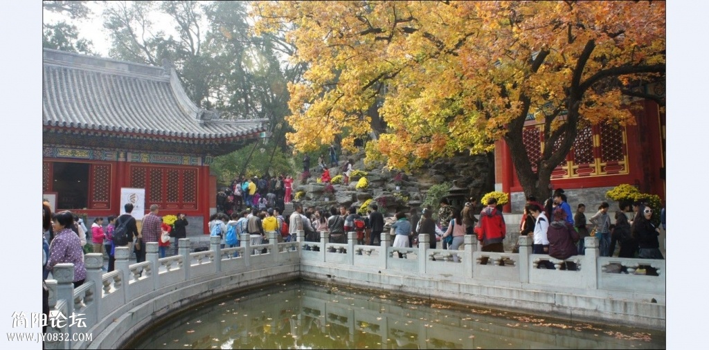 香山红叶 (3).jpg