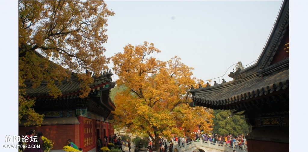 香山红叶 (4).jpg