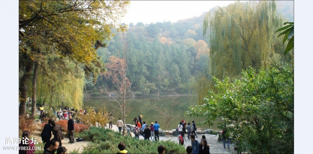 香山红叶 (6).jpg