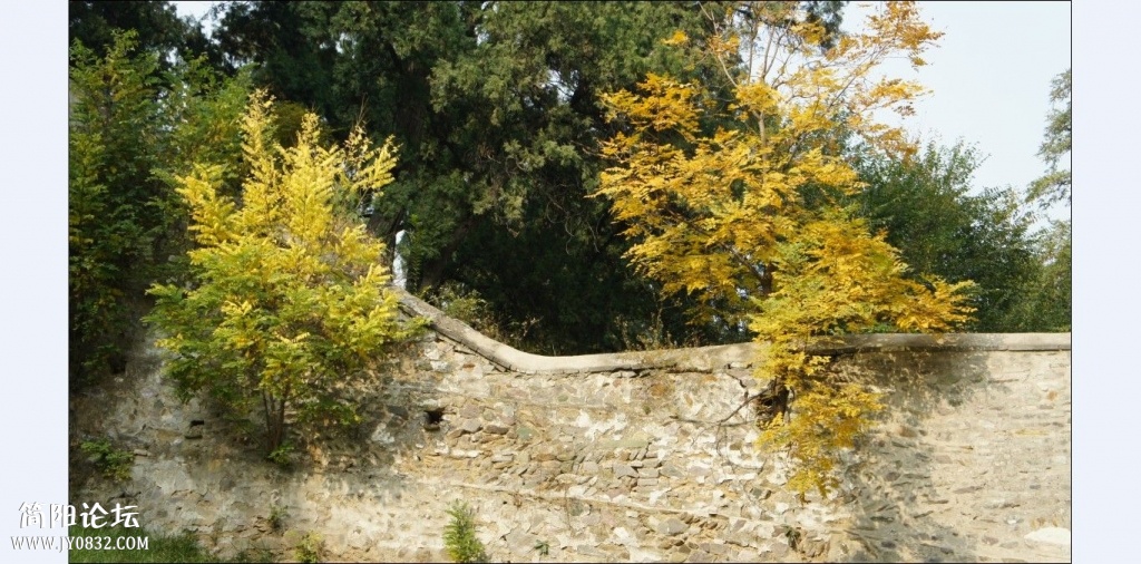 香山红叶 (13).jpg