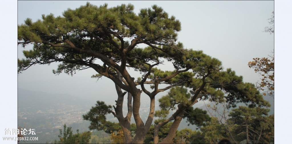 香山红叶 (16).jpg