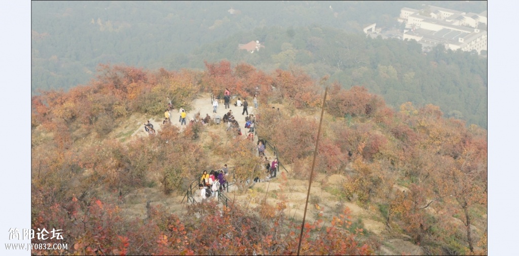 香山红叶 (19).jpg