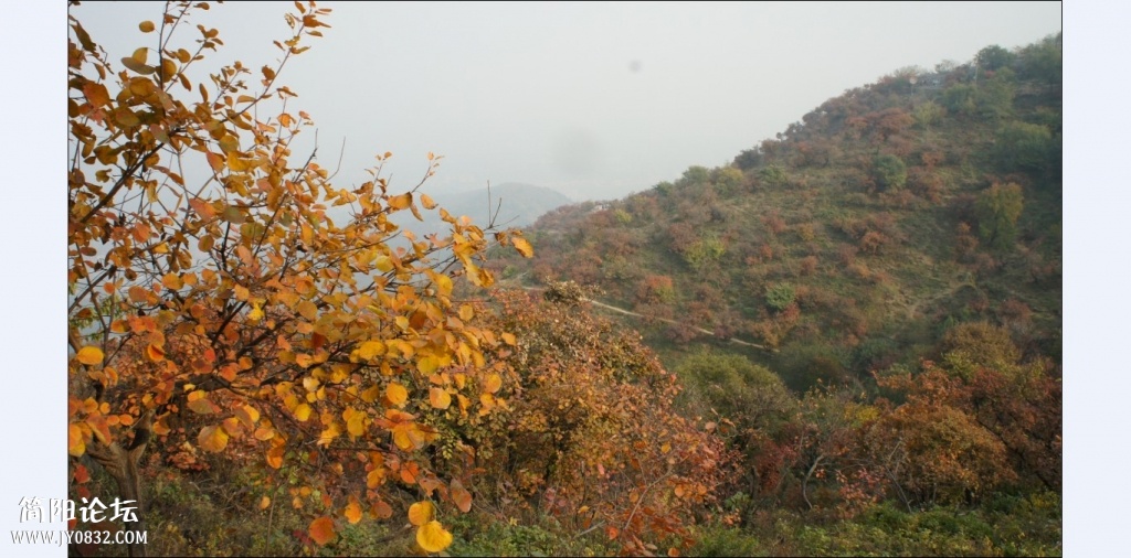 香山红叶 (25).jpg