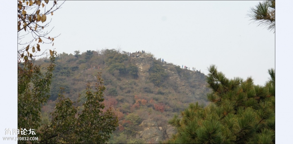 香山红叶 (30).jpg