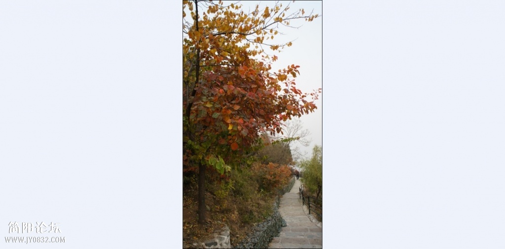 香山红叶 (32).jpg