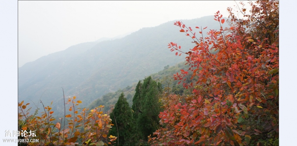 香山红叶 (34).jpg